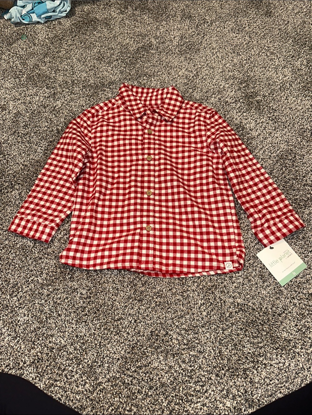 Little Threads Red Gingham Button-Down Shirt for Kids